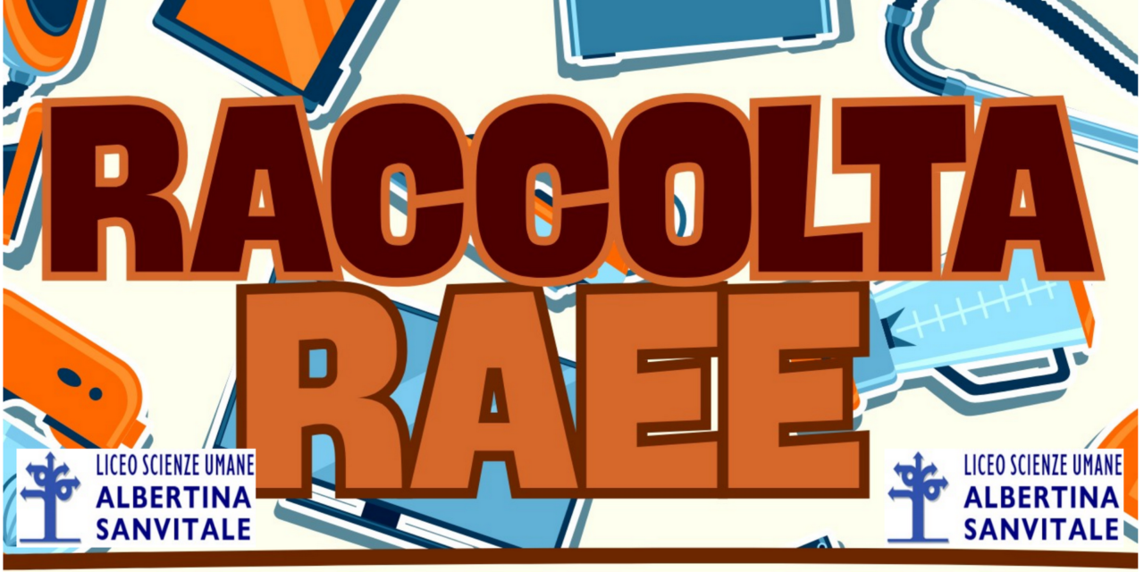 RACCOLTA RAEE