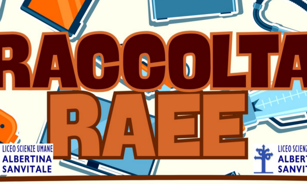 RACCOLTA RAEE