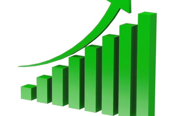 GRADUATORIE PROVVISORIE INTERNE DOCENTI E ATA